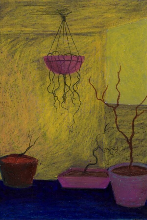 Veronika Šavarová, Deníkové zápisky 1, vyvolávací cena 1000,-